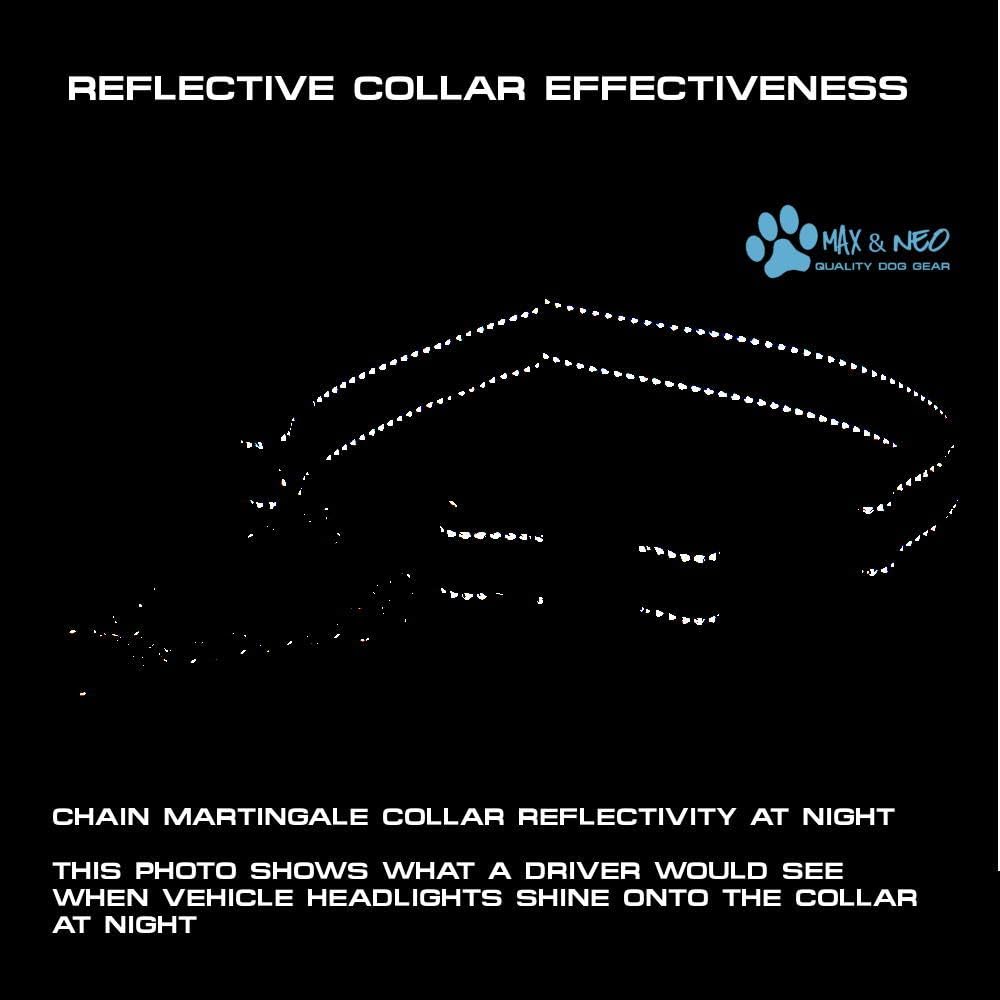 Stainless Steel Chain Martingale Collar - We Donate a Collar to a Dog Rescue for Every Collar Sold (Medium, Teal)