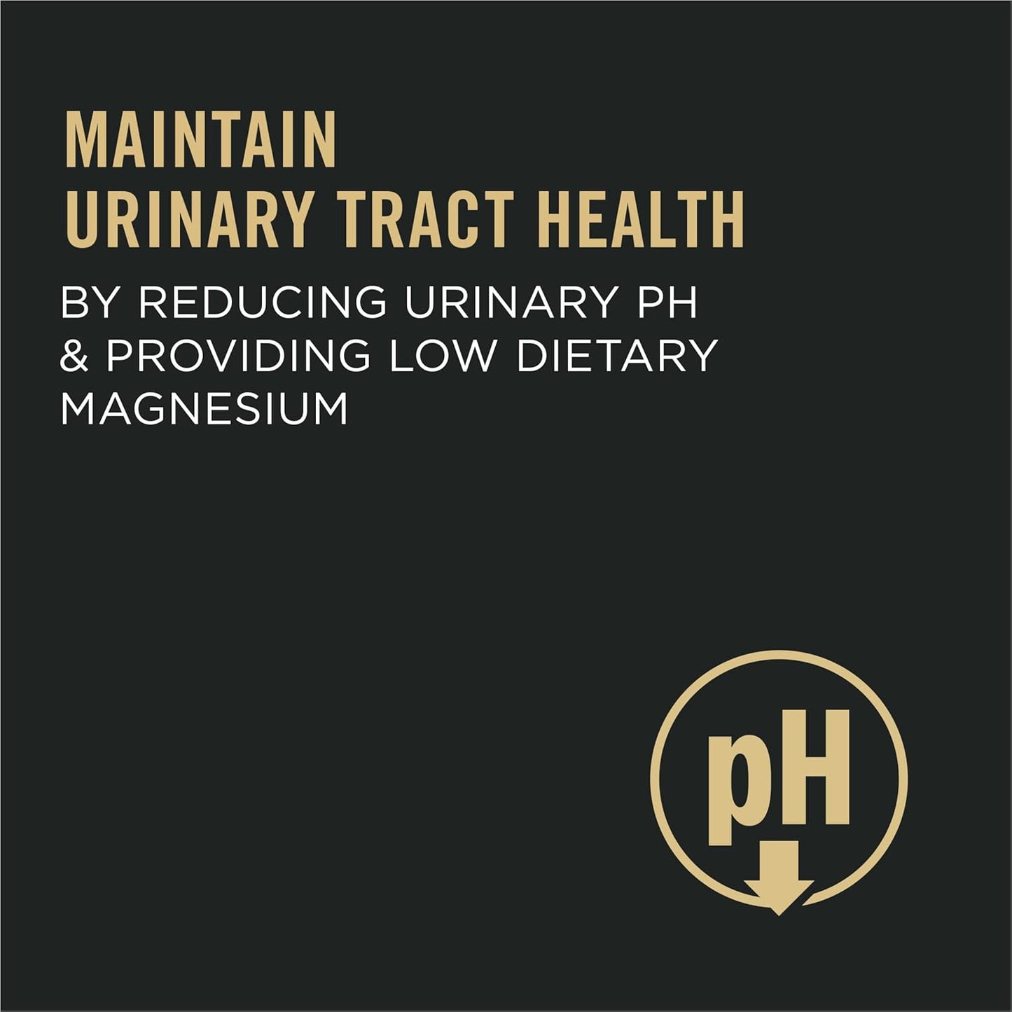 Urinary Tract Cat Food, Chicken and Rice Formula - 16 Lb. Bag