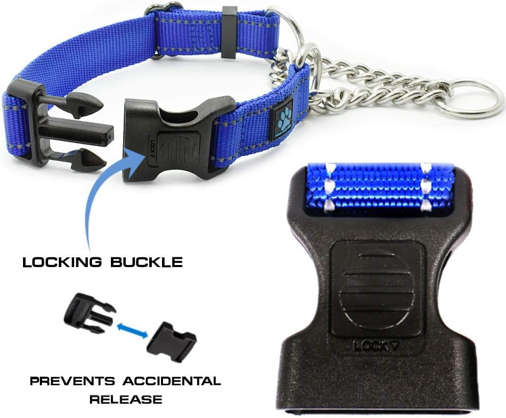 Stainless Steel Chain Martingale Collar - We Donate a Collar to a Dog Rescue for Every Collar Sold (Medium, Teal)