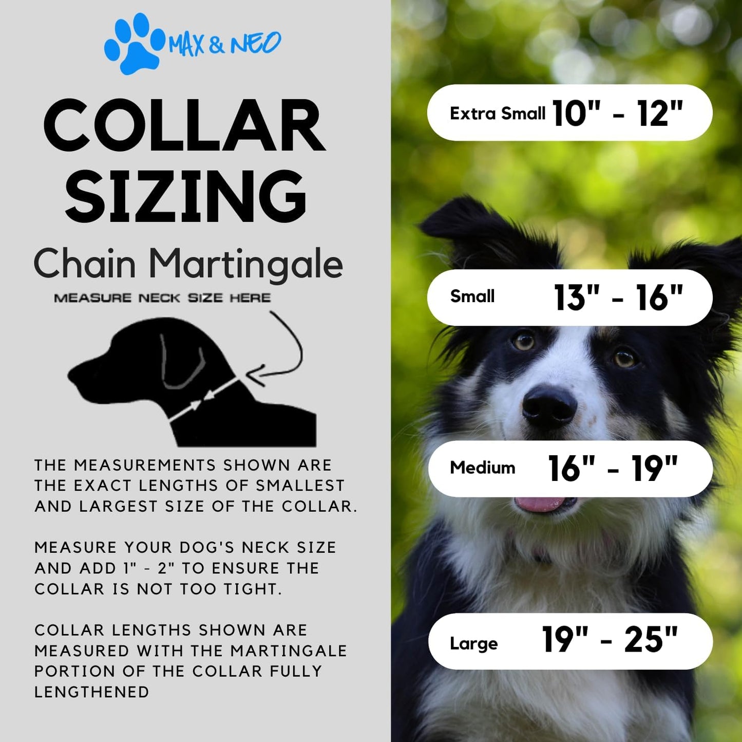 Stainless Steel Chain Martingale Collar - We Donate a Collar to a Dog Rescue for Every Collar Sold (Medium, Teal)