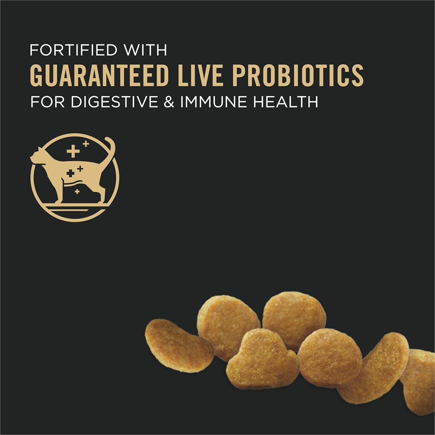 with Probiotics, High Protein Dry Kitten Food, Chicken & Rice Formula - 7 Lb. Bag