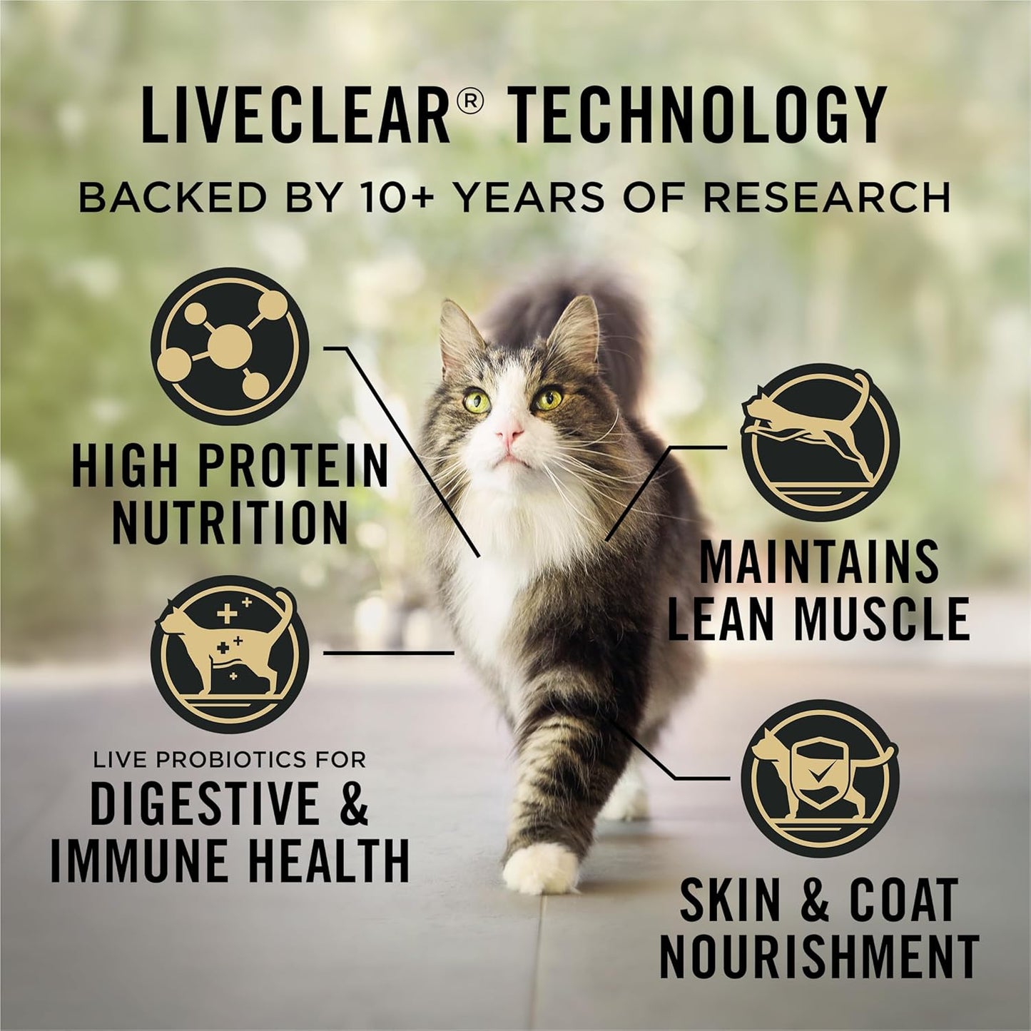 Indoor Cat Food Liveclear Cat Allergen Reducing Turkey and Rice Formula