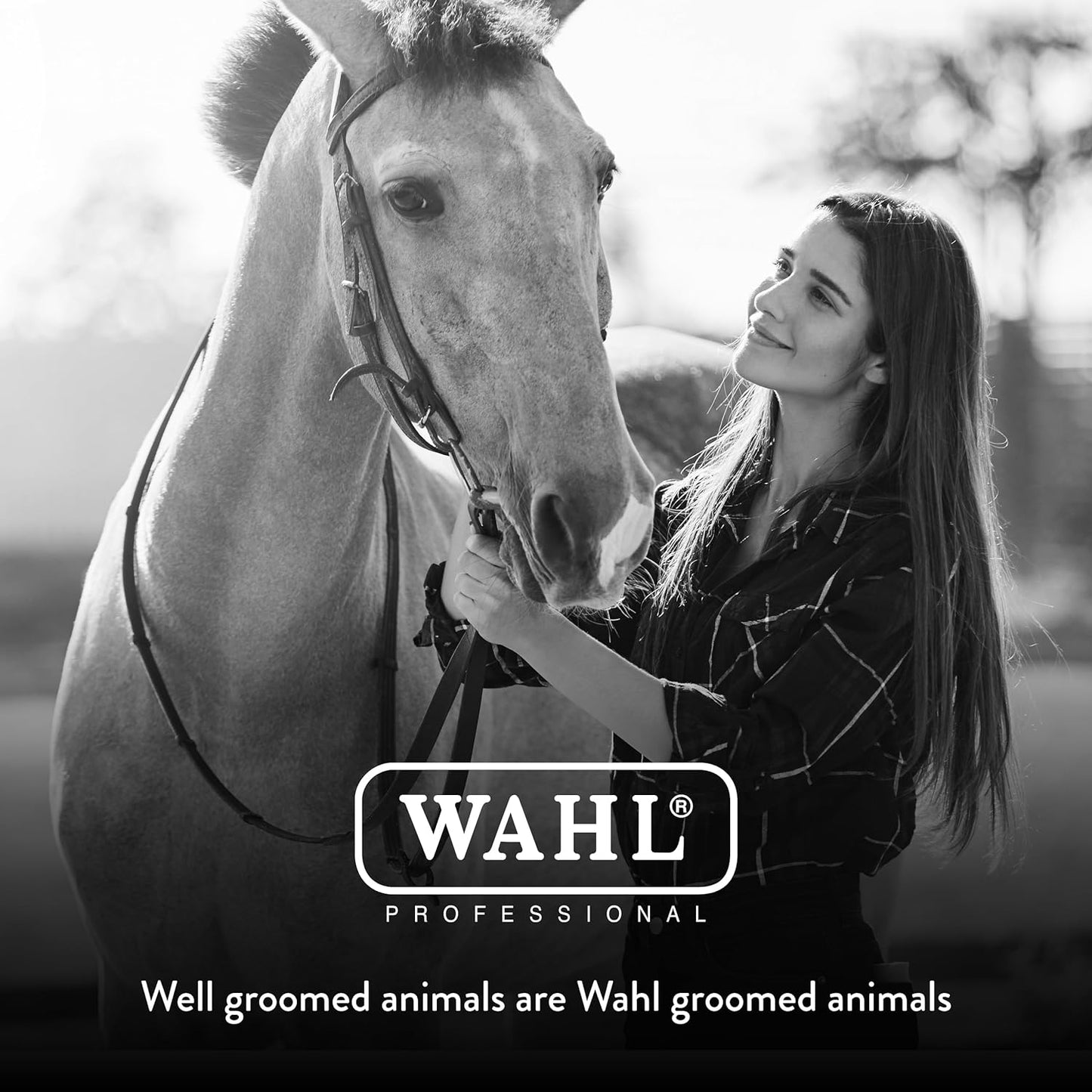 Professional Animal Equine Soft Body Horse Brush - Black