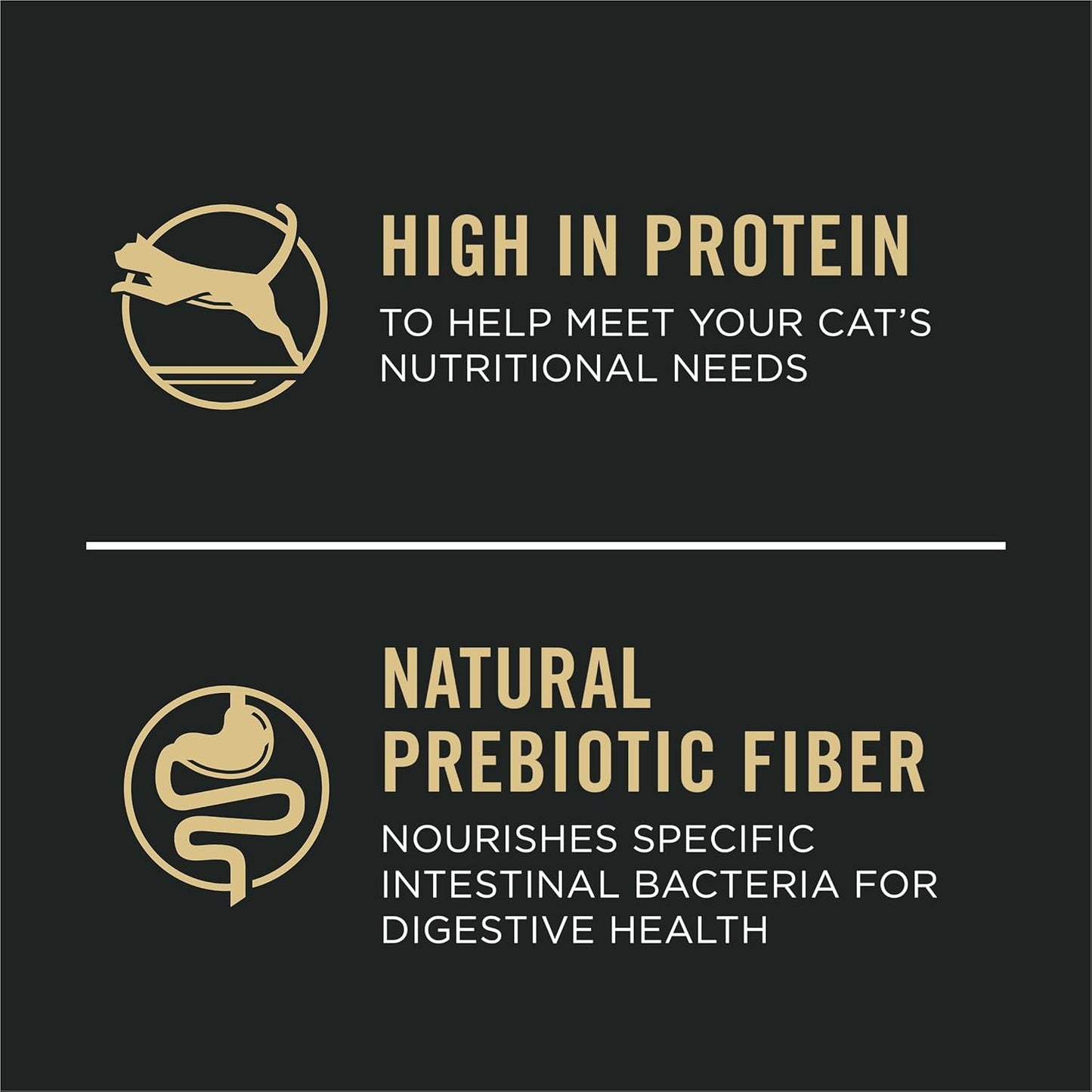 High Protein Cat Food with Probiotics for Cats, Salmon and Rice Formula - 16 Lb. Bag