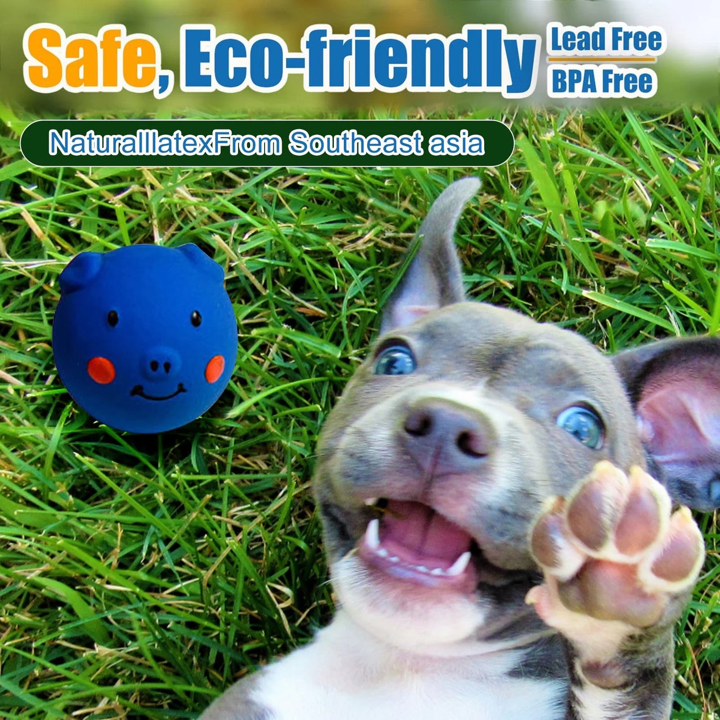 Soft Latex Squeaky Dog Toys for Small Dogs Breed Latex Squeaky Dog Balls Pig Dog Toy Balls for Chew Puppy Toes
