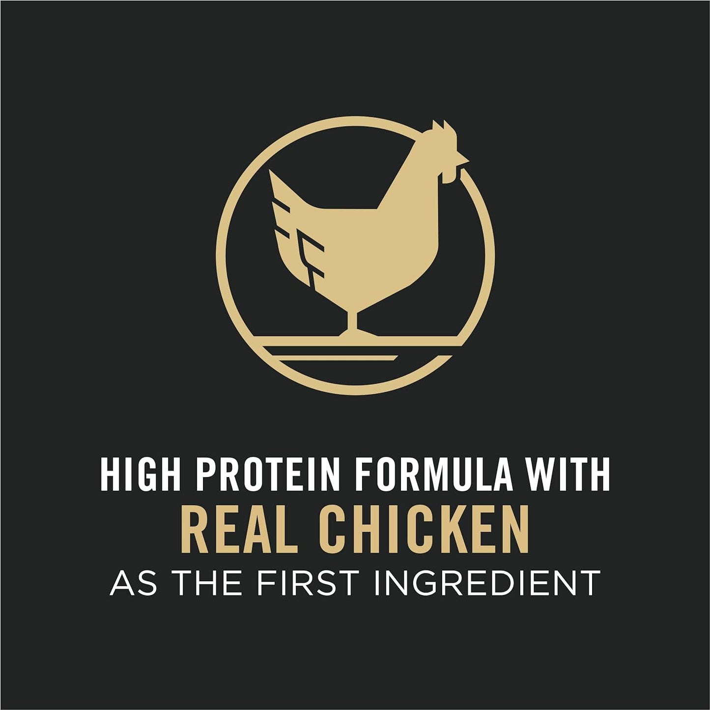 with Probiotics, High Protein Dry Kitten Food, Chicken & Rice Formula - 7 Lb. Bag