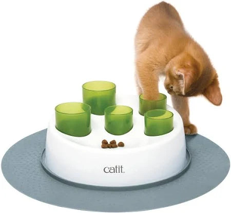Cat Accessories