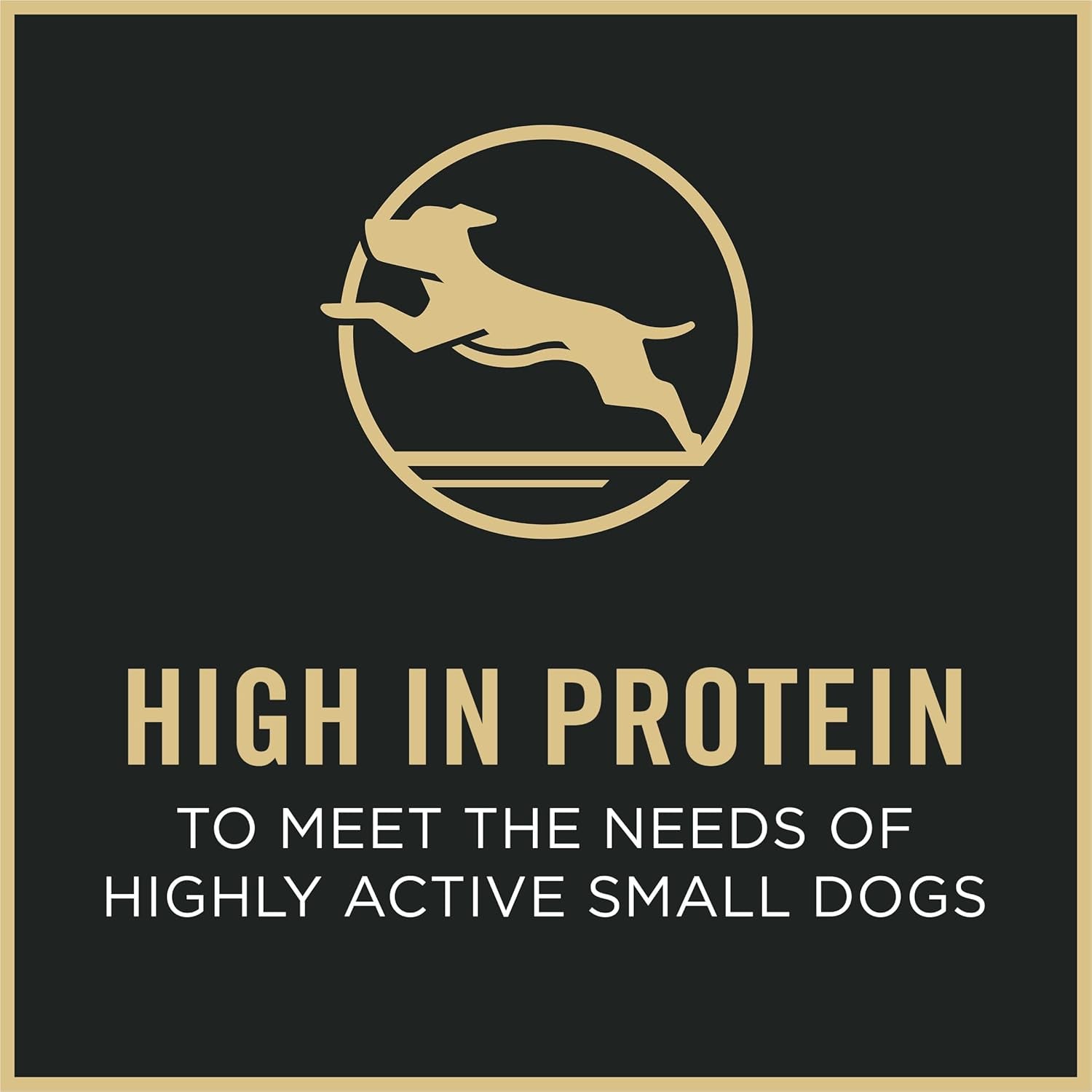 Small Breed Dry Dog Food, Shredded Blend Beef and Rice Formula with Guaranteed Live Probiotics - 6 Lb. Bag