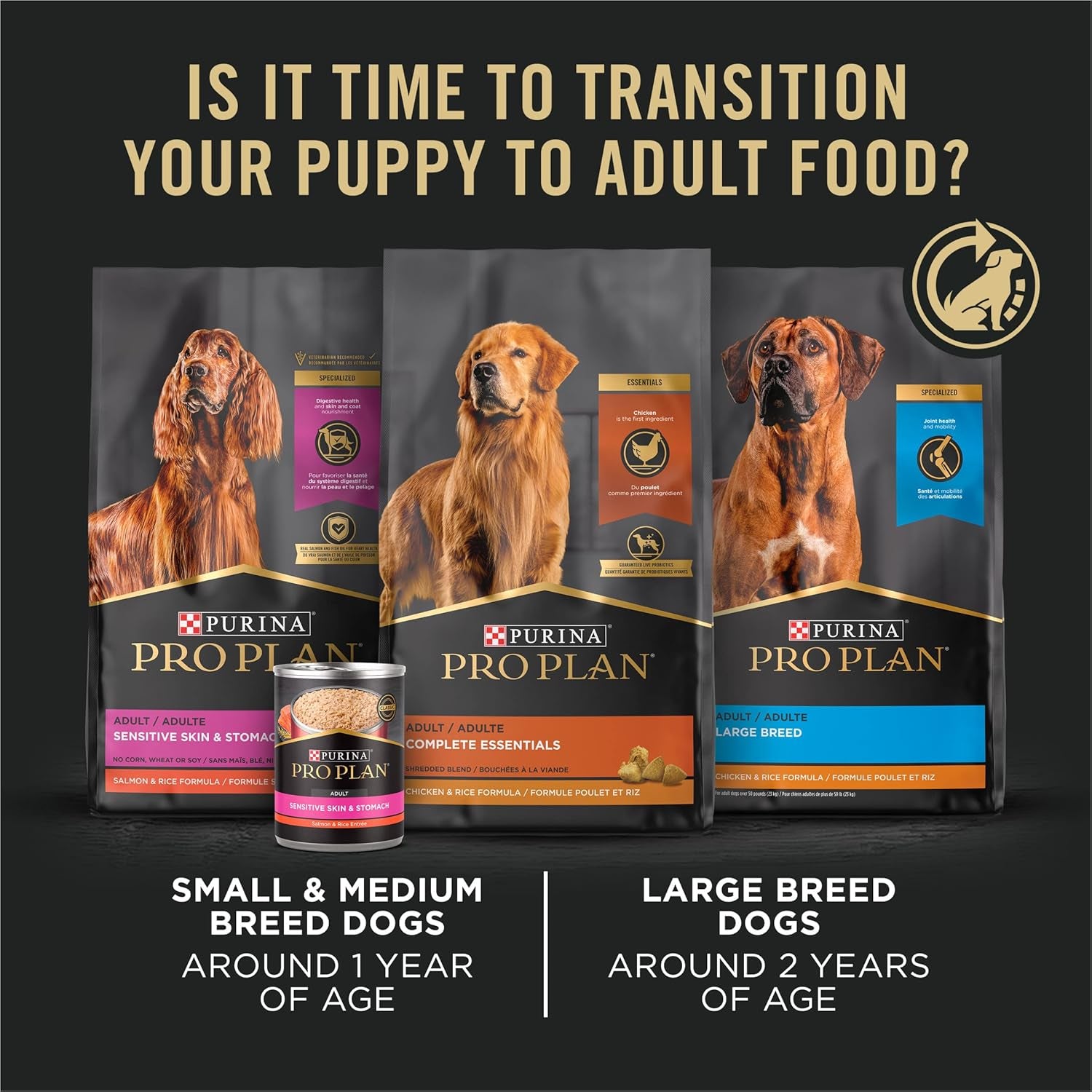 Large Breed Dry Puppy Food, Chicken and Rice Formula - 47 Lb. Bag