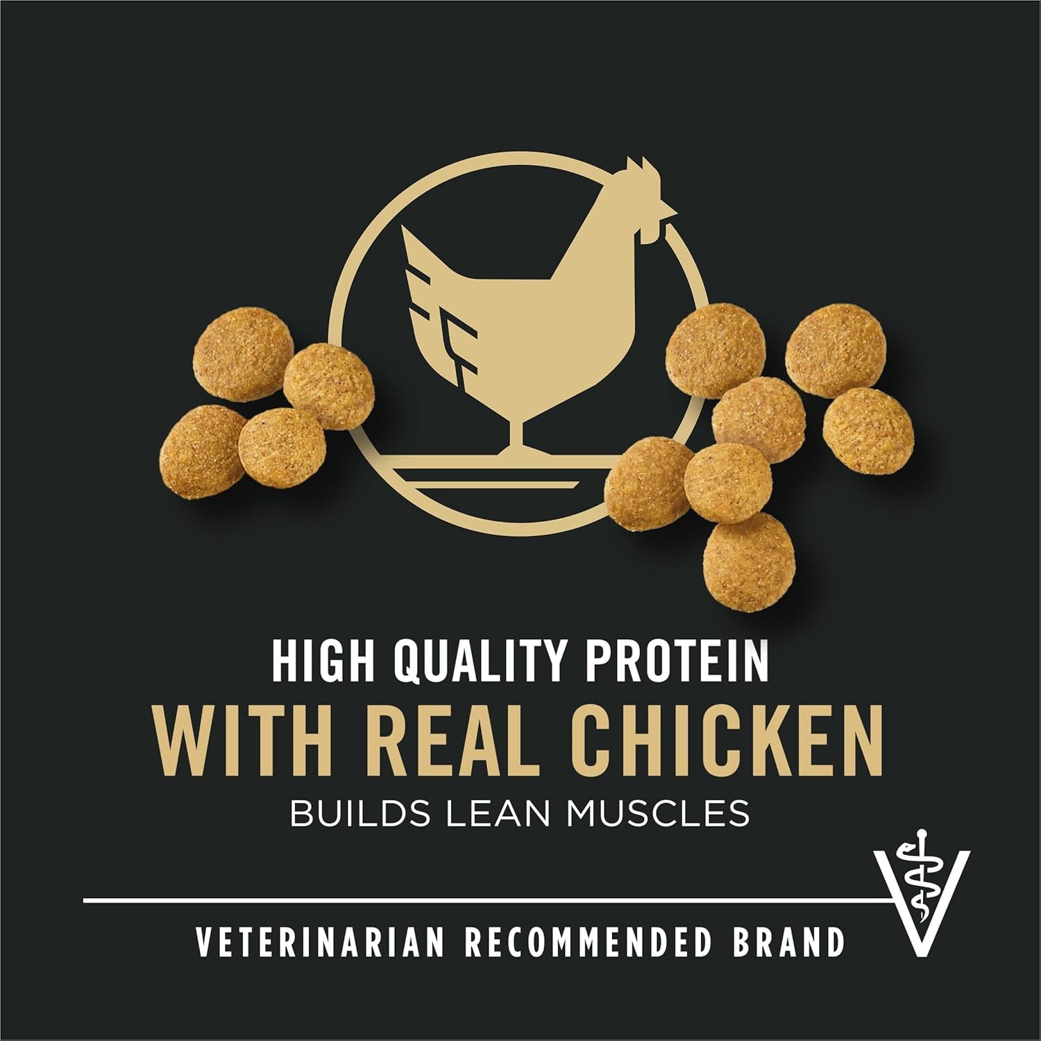 Large Breed Dry Puppy Food, Chicken and Rice Formula - 47 Lb. Bag