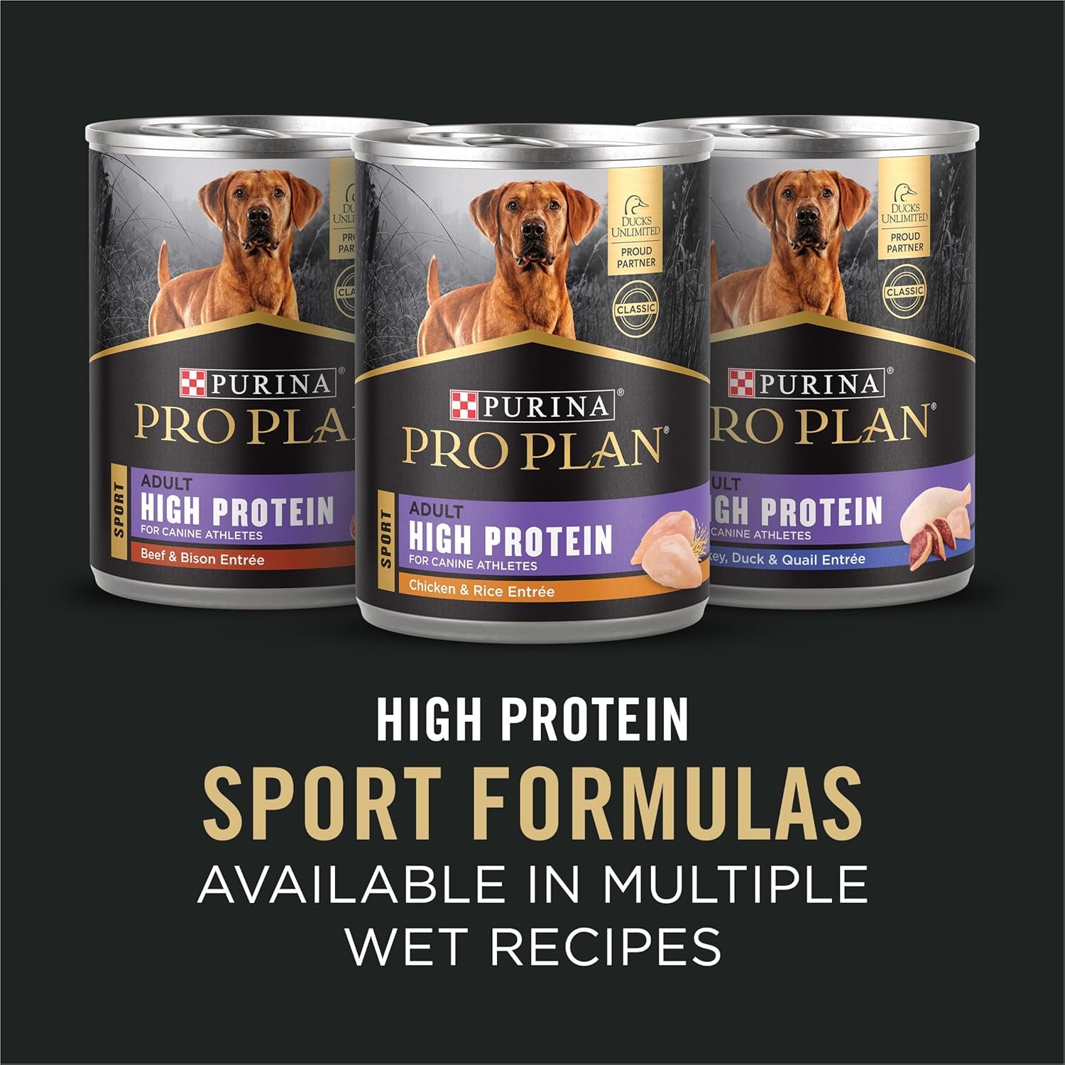 High Protein Dog Food, Sport 30/20 Salmon and Rice Dog Food Dry Formula - 33 Lb. Bag