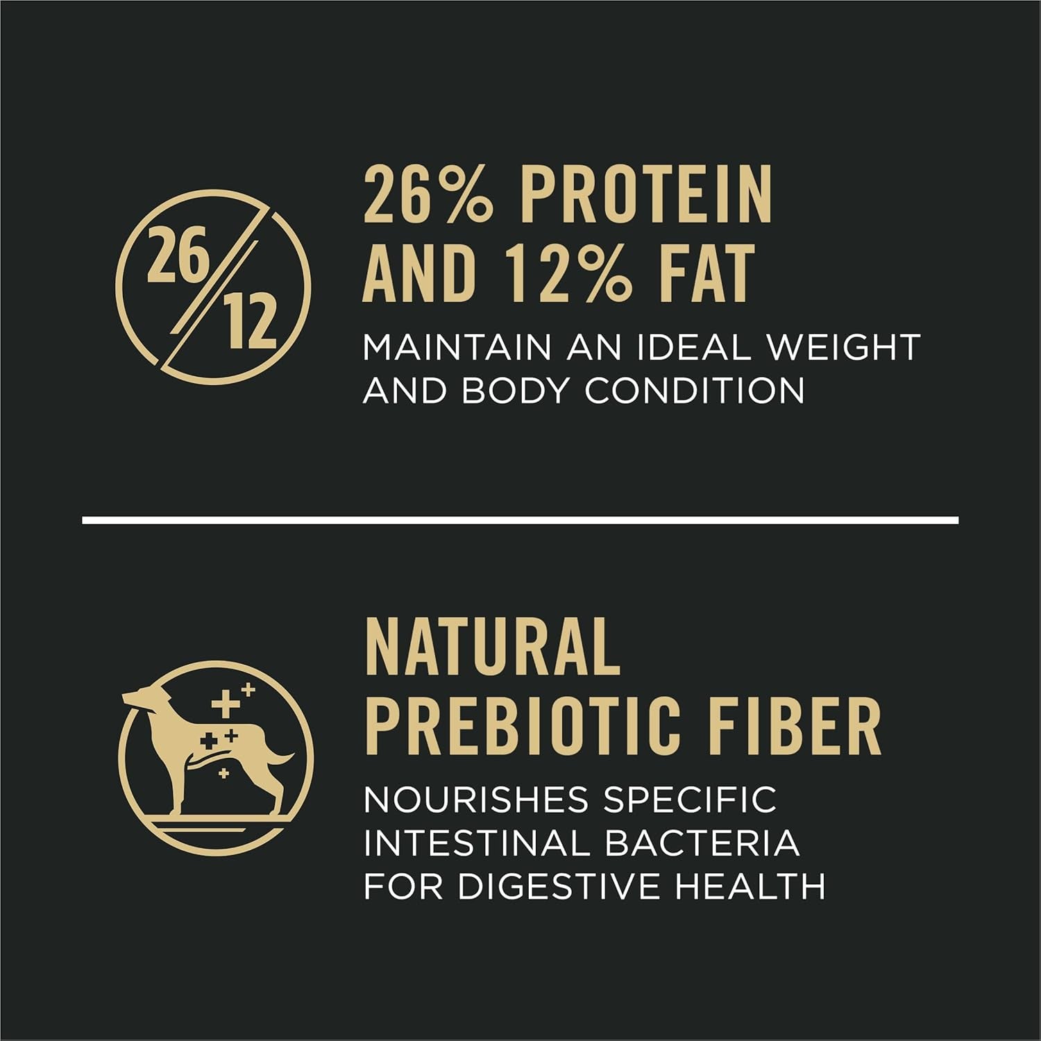 High Protein, Digestive Health Large Breed Dog Food Dry, Chicken and Rice Formula - 34 Lb. Bag