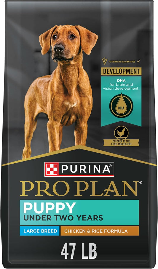 Large Breed Dry Puppy Food, Chicken and Rice Formula - 47 Lb. Bag