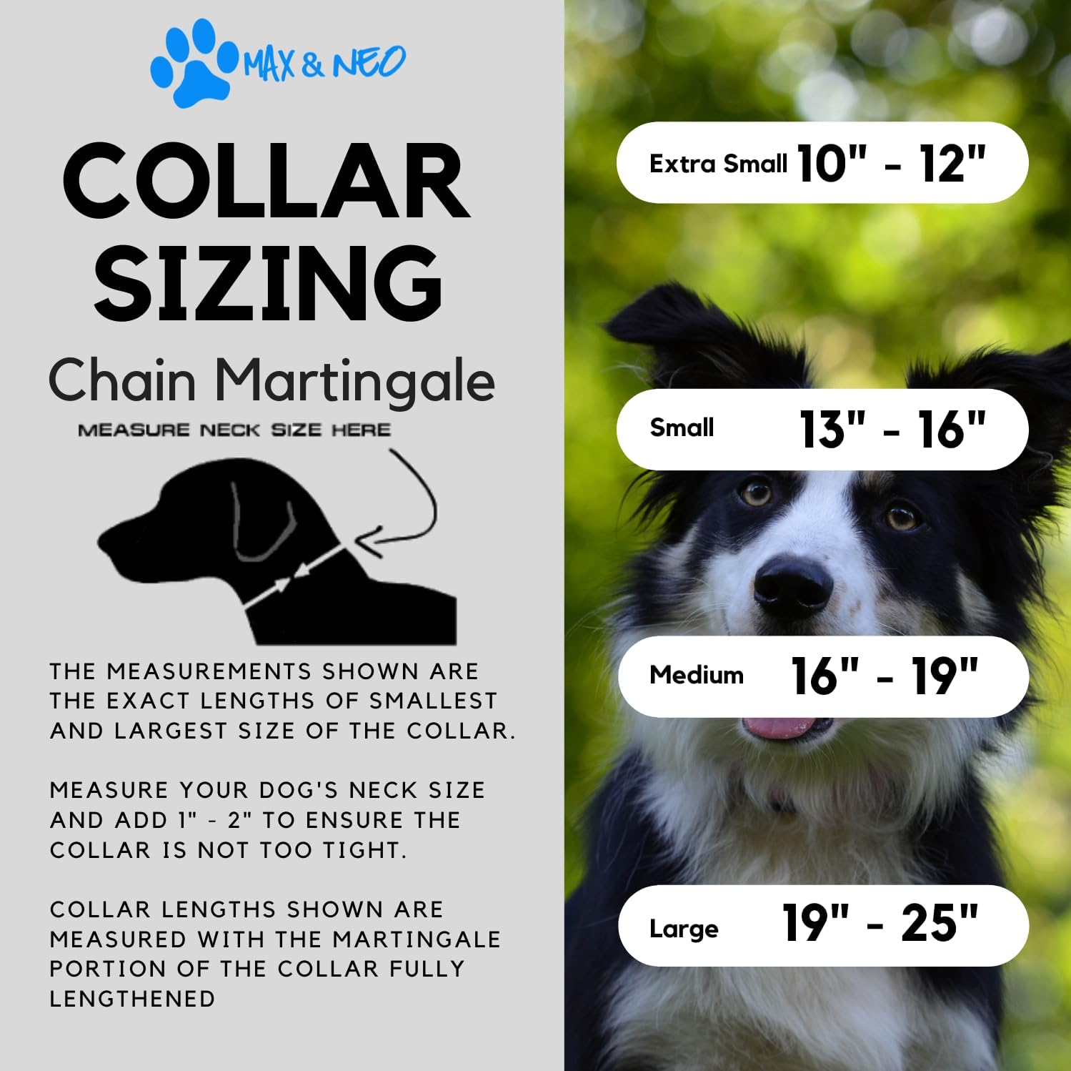 Stainless Steel Chain Martingale Collar - We Donate a Collar to a Dog Rescue for Every Collar Sold (Medium, Teal)