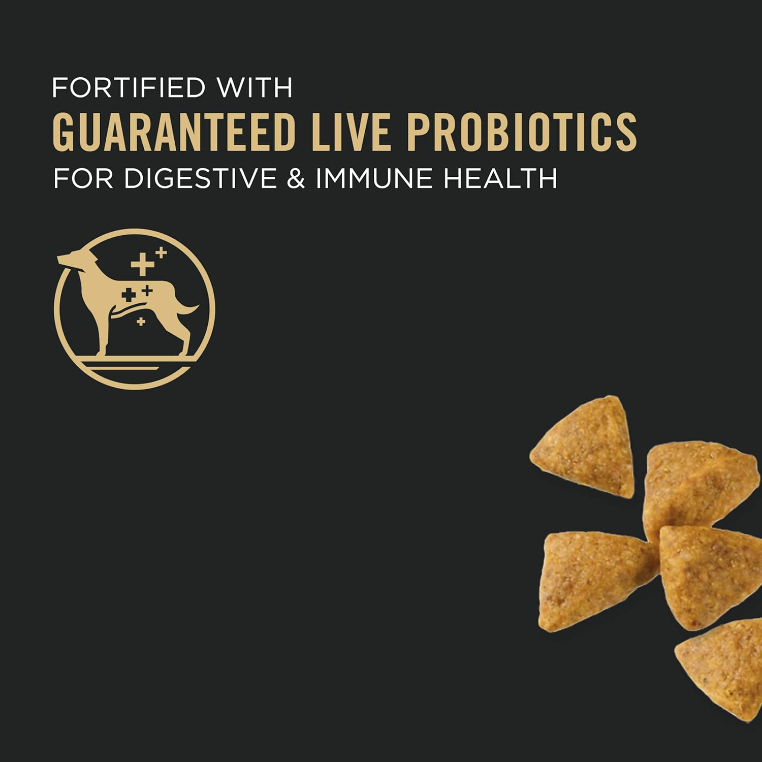 Small Breed Dry Dog Food Chicken and Rice Formula with Guaranteed Live Probiotics - 18 Lb. Bag