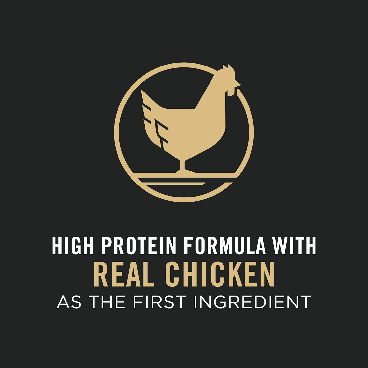 Small Breed Dry Dog Food Chicken and Rice Formula with Guaranteed Live Probiotics - 18 Lb. Bag