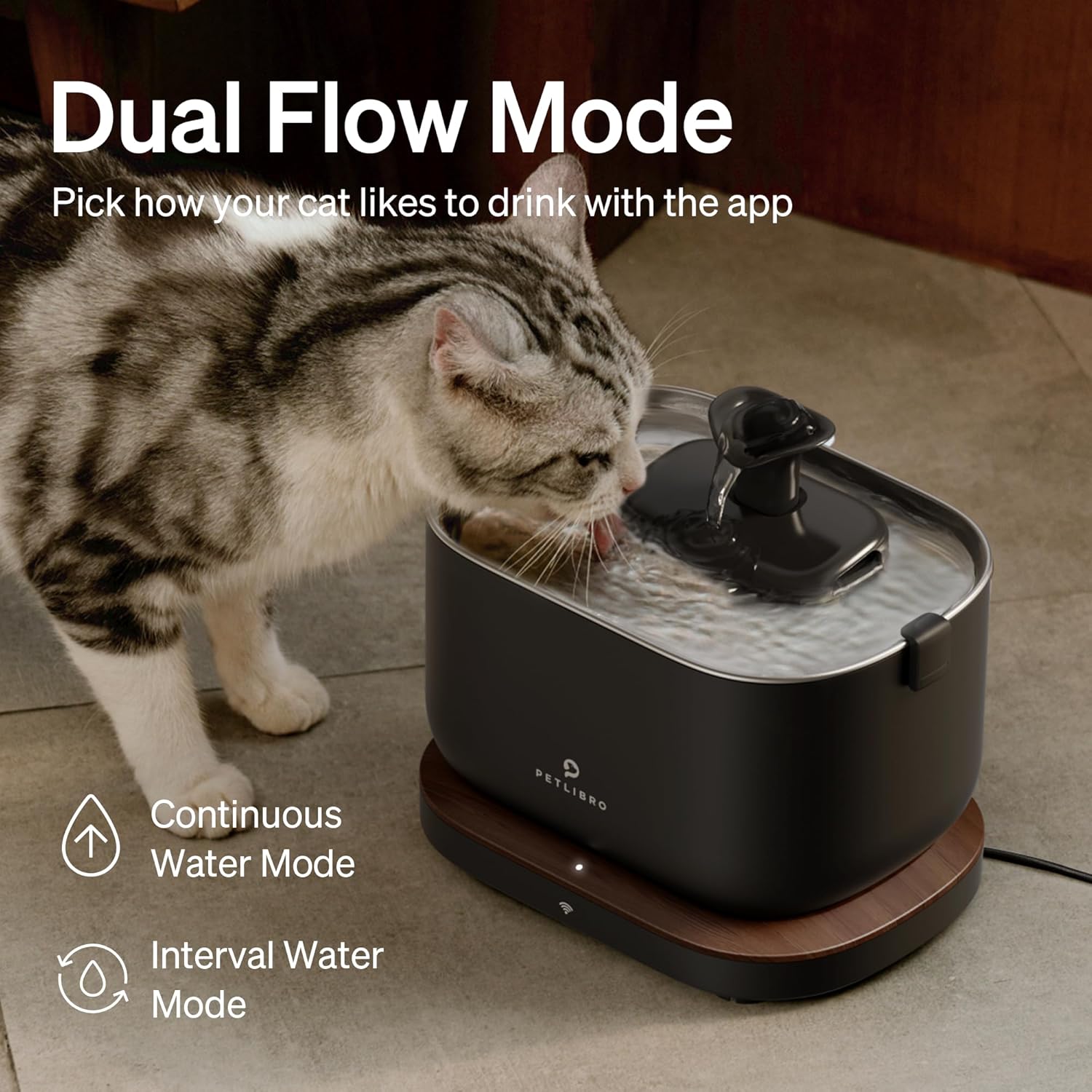 Cat Water Fountain, App Monitoring Pet Fountains for Cats Indoor with Stainless Steel Tray, 2.5L/84Oz Dockstream Automatic Water Dispenser for Drinking, 2.4G Wi-Fi Smart Bowl Inside
