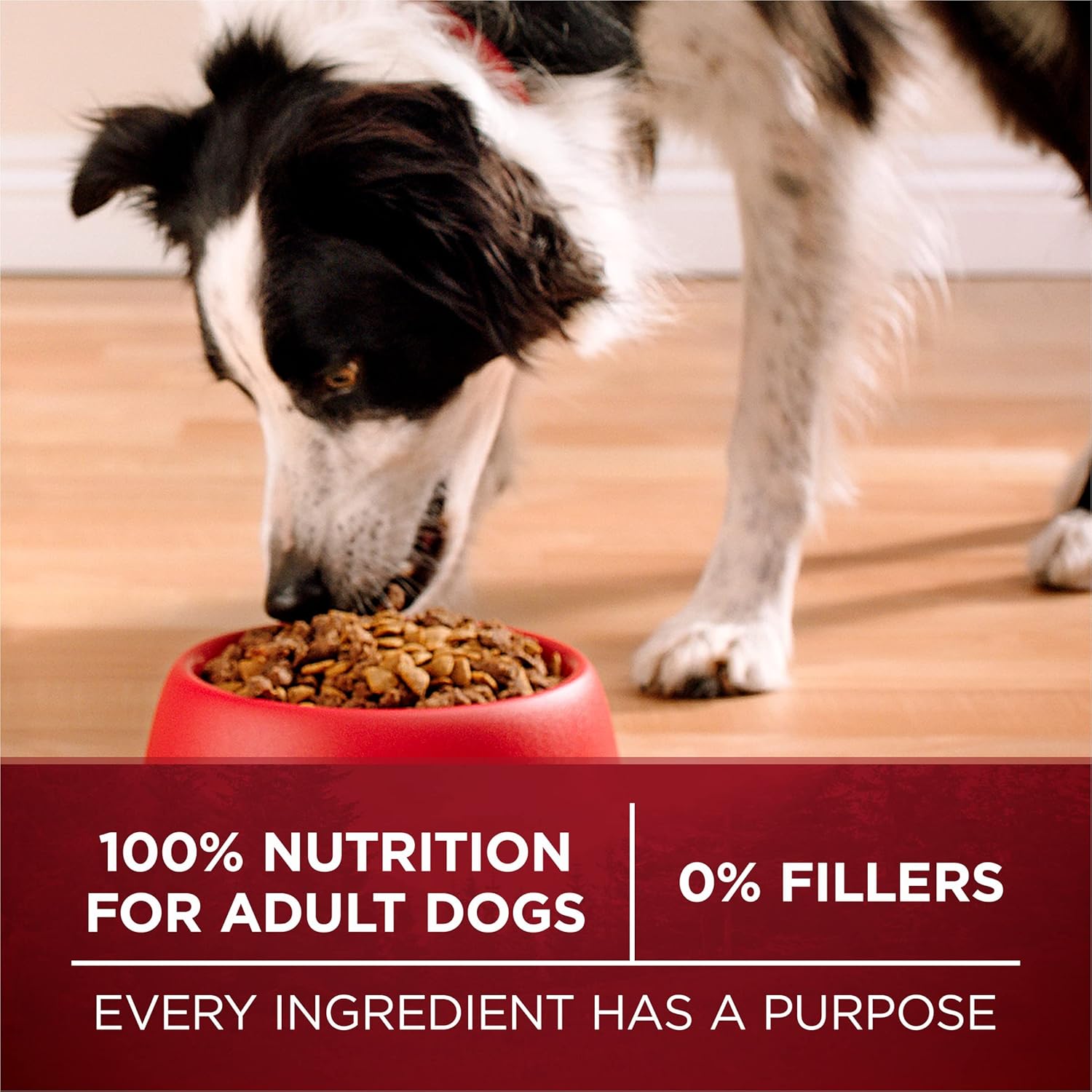 True Instinct with a Blend of Real Turkey and Venison Dry Dog Food - 27.5 Lb. Bag