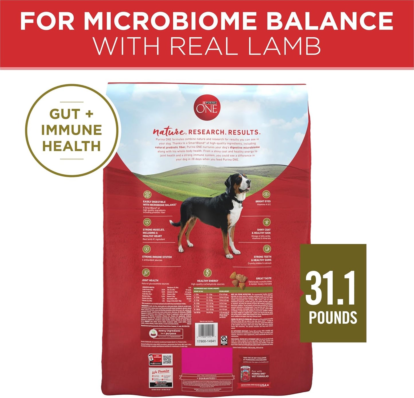 Dry Dog Food Lamb and Rice Formula - 31.1 Lb. Bag