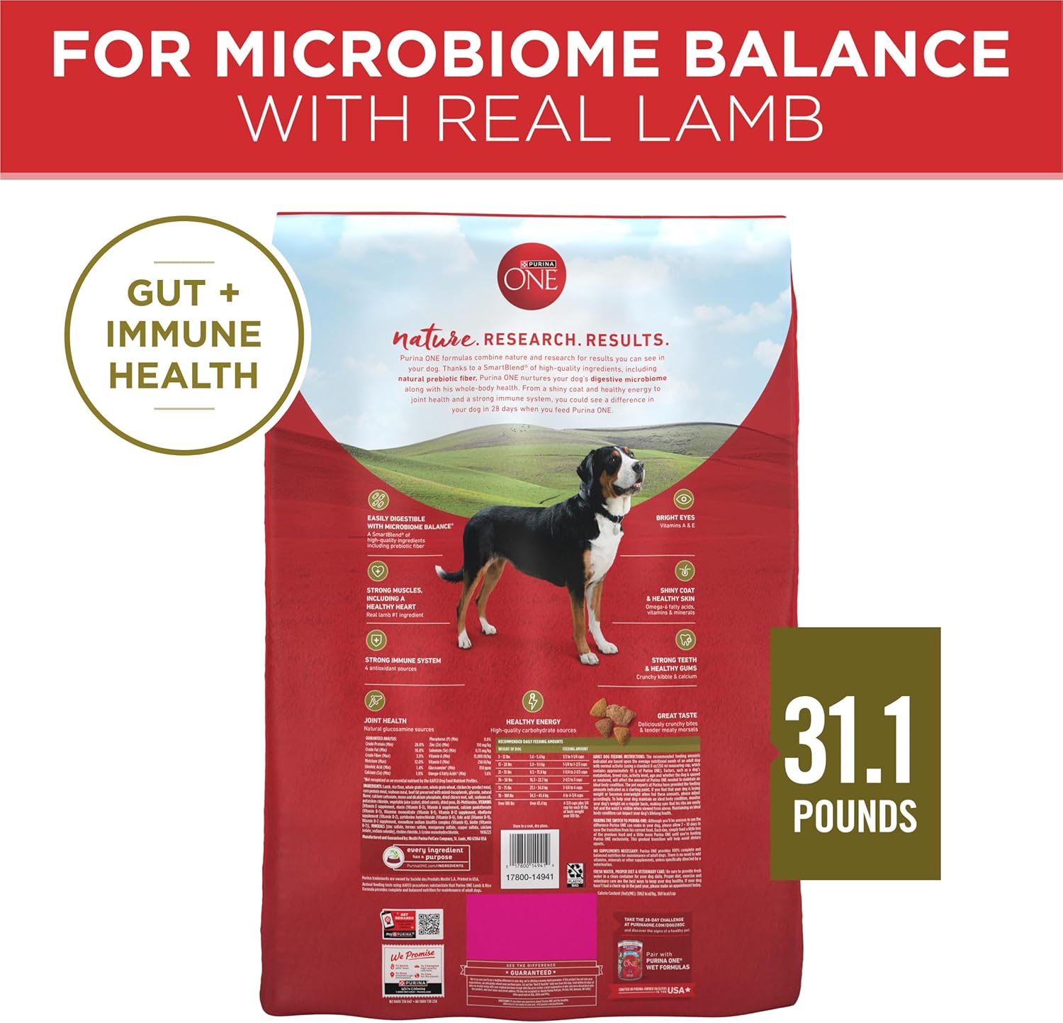 Dry Dog Food Lamb and Rice Formula - 31.1 Lb. Bag