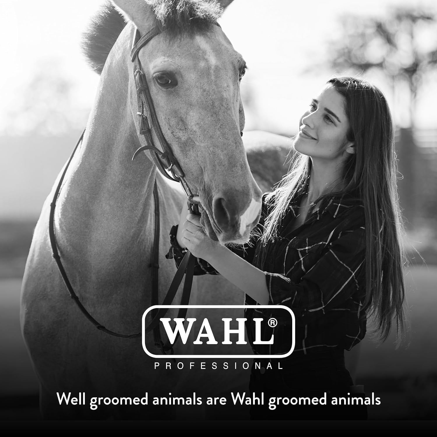 Professional Animal Equine Soft Body Horse Brush - Black