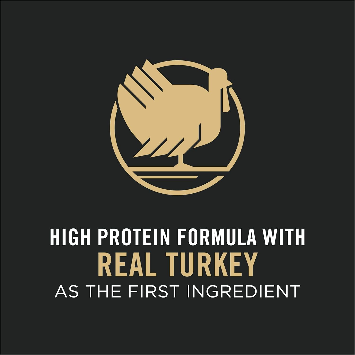 Complete Essentials Shredded Blend Turkey and Rice Dog Food Dry Formula with Probiotics for Dogs - 33 Lb. Bag